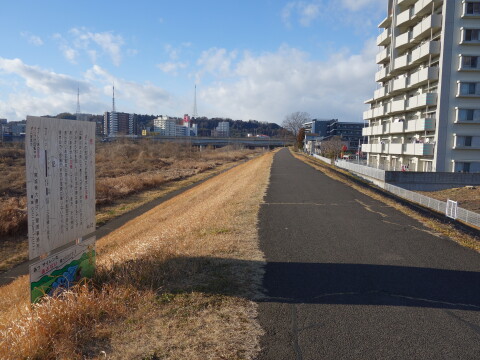 周辺環境（広瀬川）