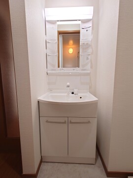 シャンプードレッサー（新品）