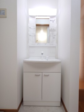 シャンプードレッサー（新品）